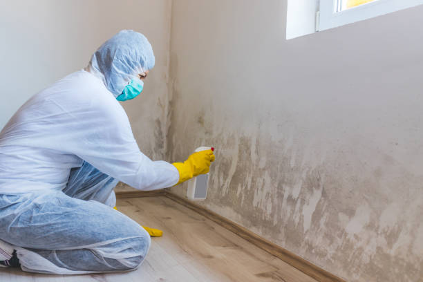 Licensed Commercial Mold Remediation service in Union City, TN - WQB Mold Removal