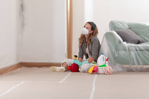 Reliable Commercial Mold Remediation contractor in Union City, TN by WQB Mold Removal