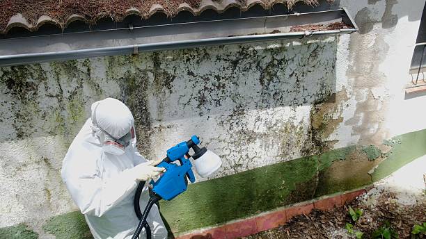 Top rated local Commercial Mold Remediation specialists in Union City, TN